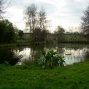 Vente terrain Availles Sur Seiche Vente terrain Availles Sur Seiche