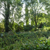 Vente terrain Magny En Vexin Vente terrain Magny En Vexin