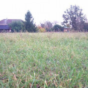 Vente terrain Proche Le Chatelet Vente terrain Proche Le Chatelet