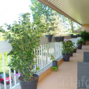 Vente appartement Verrieres Le Buisson Vente appartement Verrieres Le Buisson