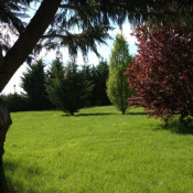 Vente terrain Proche Le Chatelet Vente terrain Proche Le Chatelet