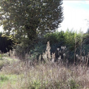 Vente terrain Camps Sur L Isle Vente terrain Camps Sur L Isle