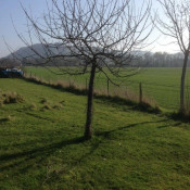Vente terrain Pitres Vente terrain Pitres
