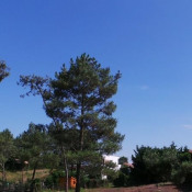 Vente terrain Anglet Vente terrain Anglet