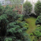 ou sont les prostituées du bois de boulogne