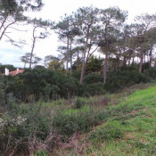 Vente terrain Anglet Vente terrain Anglet