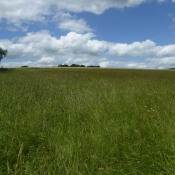 Vente terrain Magny En Vexin Vente terrain Magny En Vexin