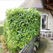 Vente maison / villa Venarey Les Laumes Vente maison / villa Venarey Les Laumes