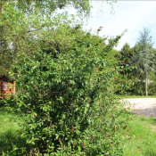 Vente terrain Verrey Sous Salmaise Vente terrain Verrey Sous Salmaise