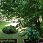 Vente appartement Montelimar Vente appartement Montelimar