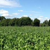 Vente terrain Proche Le Chatelet Vente terrain Proche Le Chatelet