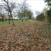 Vente terrain Gresigny Ste Reine Vente terrain Gresigny Ste Reine