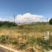 Vente terrain Adissan Vente terrain Adissan