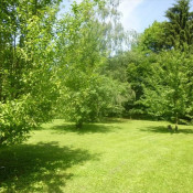 Vente terrain Chelles Vente terrain Chelles