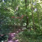 Vente terrain Coye La Foret Vente terrain Coye La Foret