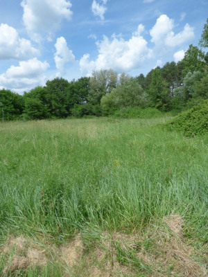 Продажa - Участок - 2325 m2 - Selles sur Cher - Photo 