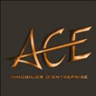 ACE IMMOBILIER DENTREPRISE