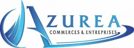 PRO COMM - Azurea Commerces