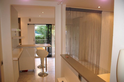 A vendre cannes basse californie Cannes A vendre cannes basse californie Cannes