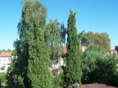 Appartement T1 / Studio Toulouse Appartement T1 / Studio Toulouse