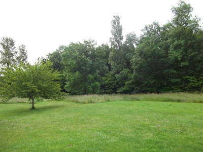 Terrain Limitrophe de Cognac Terrain Limitrophe de Cognac