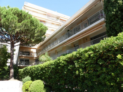 Cannes au coeur de la Basse Californie Cannes Cannes au coeur de la Basse Californie Cannes