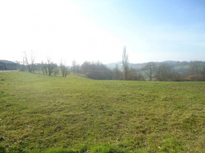 Terrain constructible de 8439 m² 10 Min Salies du Salat Terrain constructible de 8439 m² 10 Min Salies du Salat