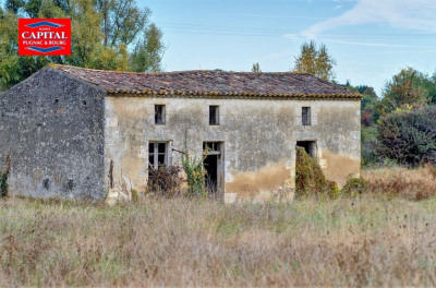 Maison à rénover à 10 minutes de Blaye Blaye Maison à rénover à 10 minutes de Blaye Blaye
