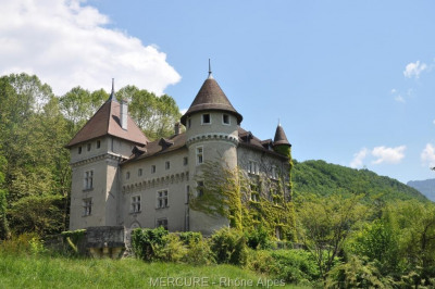 chateau a vendre yenne
