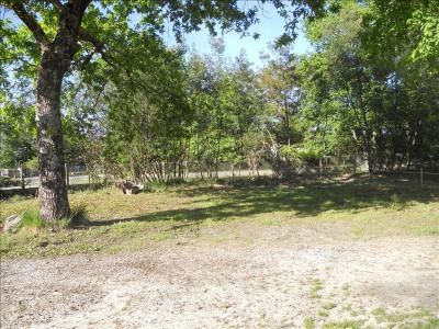annonce immobiliere Vente Terrain Andernos-les-Bains Andernos, beau terrain constructibe et arboré de 300 m². Zone UC du PLU, avec emprise au sol de 30% et ét ...