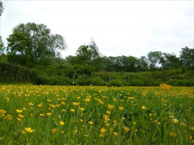 annonce immobiliere Vente Terrain Andernos-les-Bains Andernos rare, au calme, proche bassin et commerces à pied terrain de 670 m² non viabilisé, clôturé avec ...