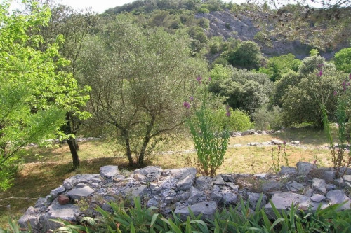 Verkauf - Grundstück - 2389 m2 - Boisset et Gaujac - Photo 