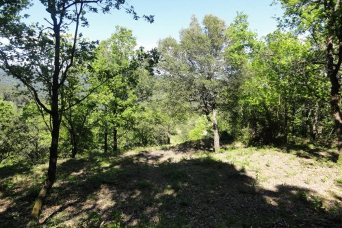 出售 - 空地 - 5000 m2 - Saint Paul la Coste - Photo 