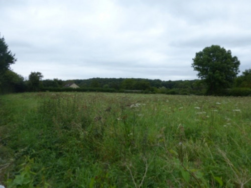 出售 - 空地 - 1500 m2 - Auneuil - Photo 