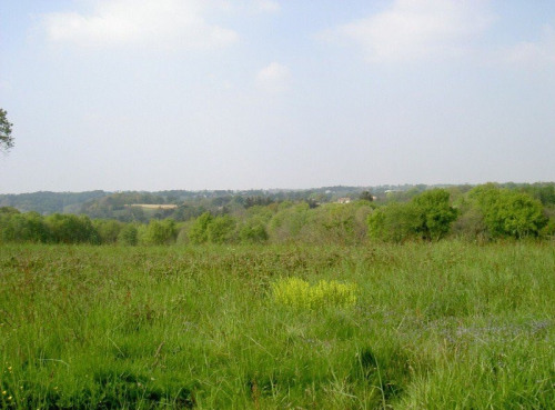 Sale - Site - 1800 m2 - Geaune - Photo 