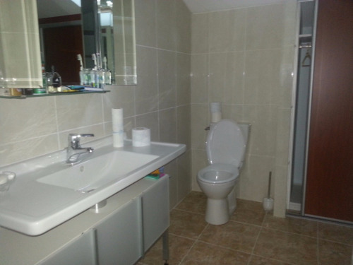 Продажa - Разные - 300 m2 - Estibeaux - Photo 