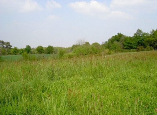 Sale - Site - 1800 m2 - Geaune - Photo 