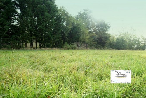 Продажa - Участок - 1397 m2 - Yèvres - Photo 