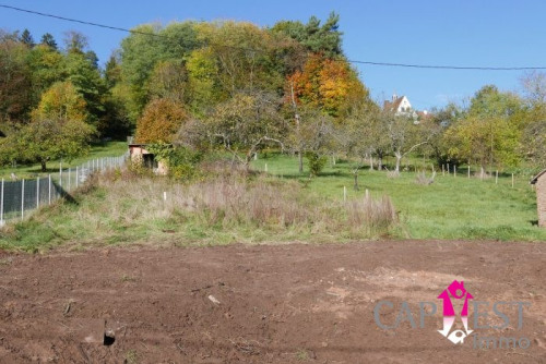 Sale - Site - Neuwiller lès Saverne - Photo 