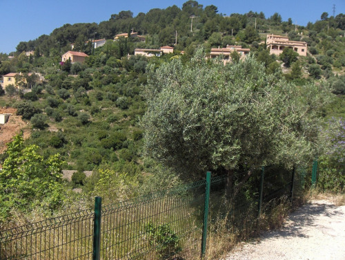 Sale - Site - 6250 m2 - Toulon - Photo 