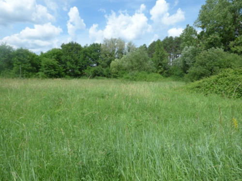 Продажa - Участок - 2325 m2 - Selles sur Cher - Photo 