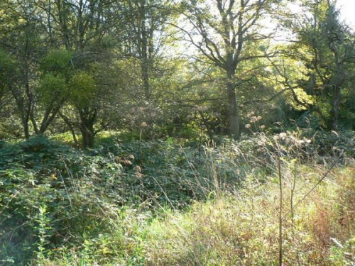 Sale - Site - 700 m2 - Sucy en Brie - Photo 