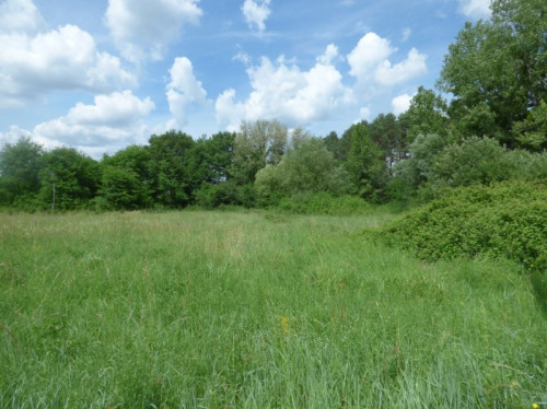 Продажa - Участок - 2325 m2 - Selles sur Cher - Photo 