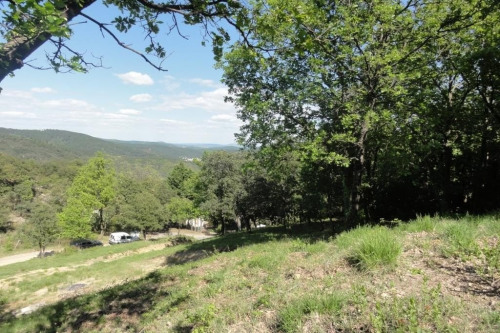 出售 - 空地 - 5000 m2 - Saint Paul la Coste - Photo 