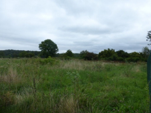 出售 - 空地 - 1500 m2 - Auneuil - Photo 