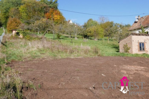 Sale - Site - Neuwiller lès Saverne - Photo 