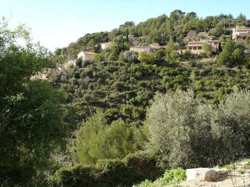 Sale - Site - 6250 m2 - Toulon - Photo 