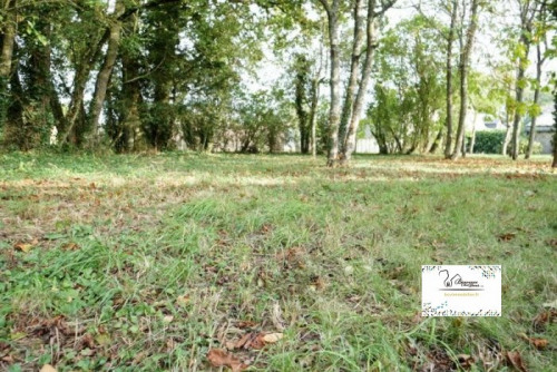 Продажa - Участок - 750 m2 - Yèvres - Photo 