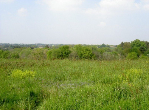 Sale - Site - 1800 m2 - Geaune - Photo 