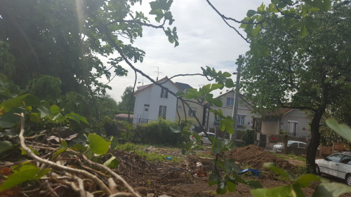 Sale - Site - 360 m2 - Villeneuve Saint Georges - Photo 